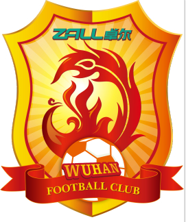 武汉卓尔足球俱乐部 - 武汉足球俱乐部 - 中国足球俱乐部