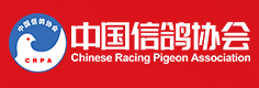 中国信鸽协会 - CPA - Chinese Pigeon Association