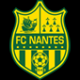南特足球俱乐部 - 法甲南特官网 - 法国南特队 - Nantes
