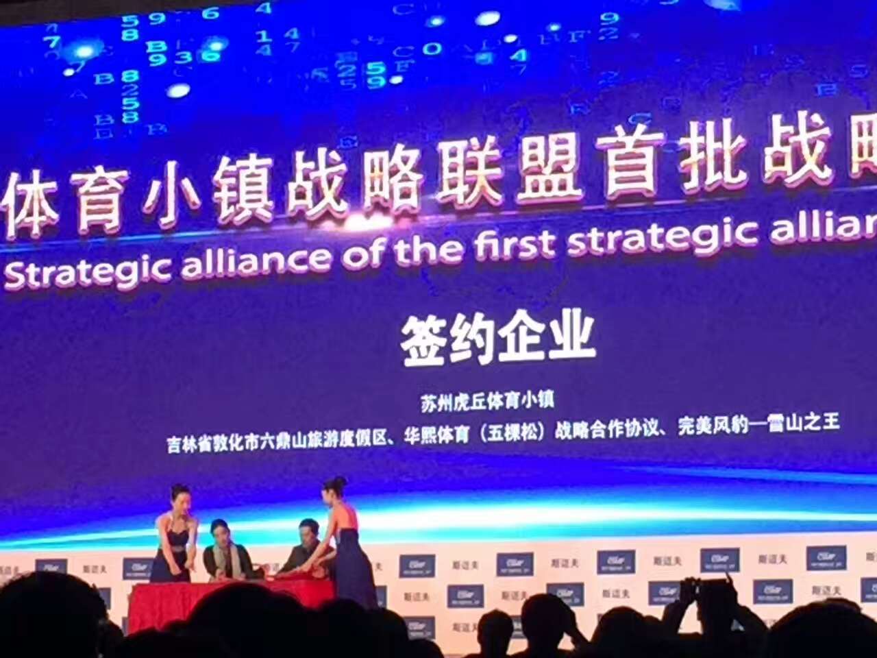 斯迈夫大会现场