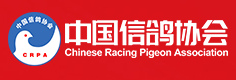 中国信鸽协会 - CPA - Chinese Pigeon Association 中国信鸽协会 - CPA - Chinese Pigeon Association
