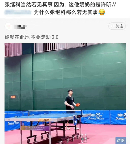 为什么张继科那么若无其事，因为他是许昕！