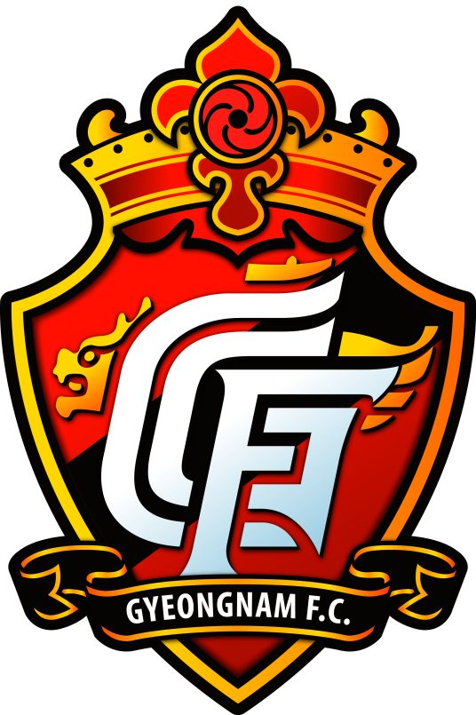 庆南FC足球俱乐部 庆南FC足球俱乐部