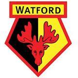 沃特福德足球俱乐部 - 英超沃特福德官网 - 英格兰沃特福德队 - Watford