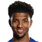 霍尔加特 个人资料简介 - 霍尔加特 身高 - Mason Holgate